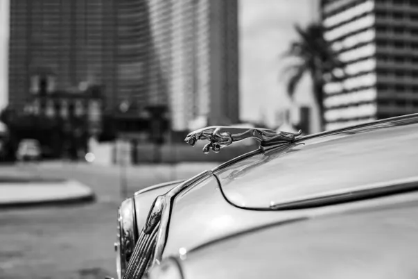 WagerWeb Casino Aplicación Android/iOS